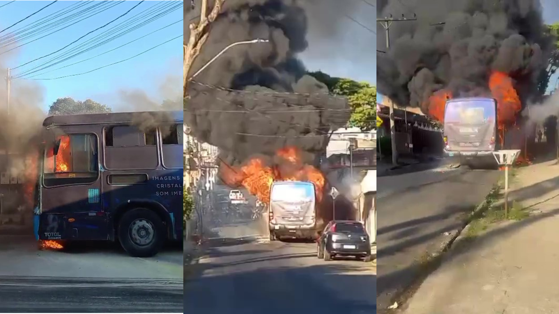 Vídeo mostra ônibus sendo destruído por incêndio na Grande BH