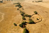Estudo mostra que calor da Terra divide a África e pode gerar novo oceano