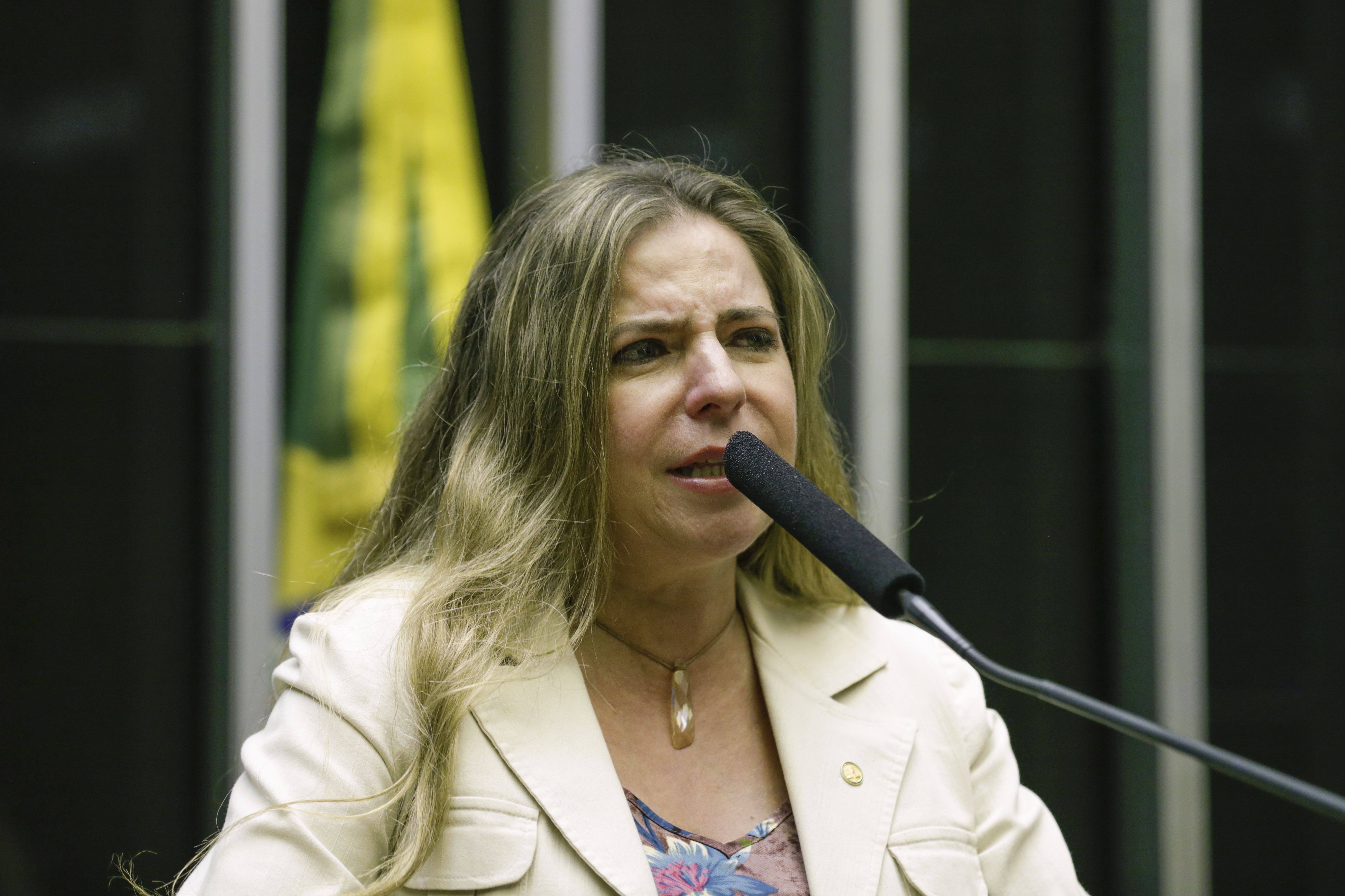 Imagem de destaque do post: Deputada do PT segue detida em Israel; assessoria quer liberação "imediata"