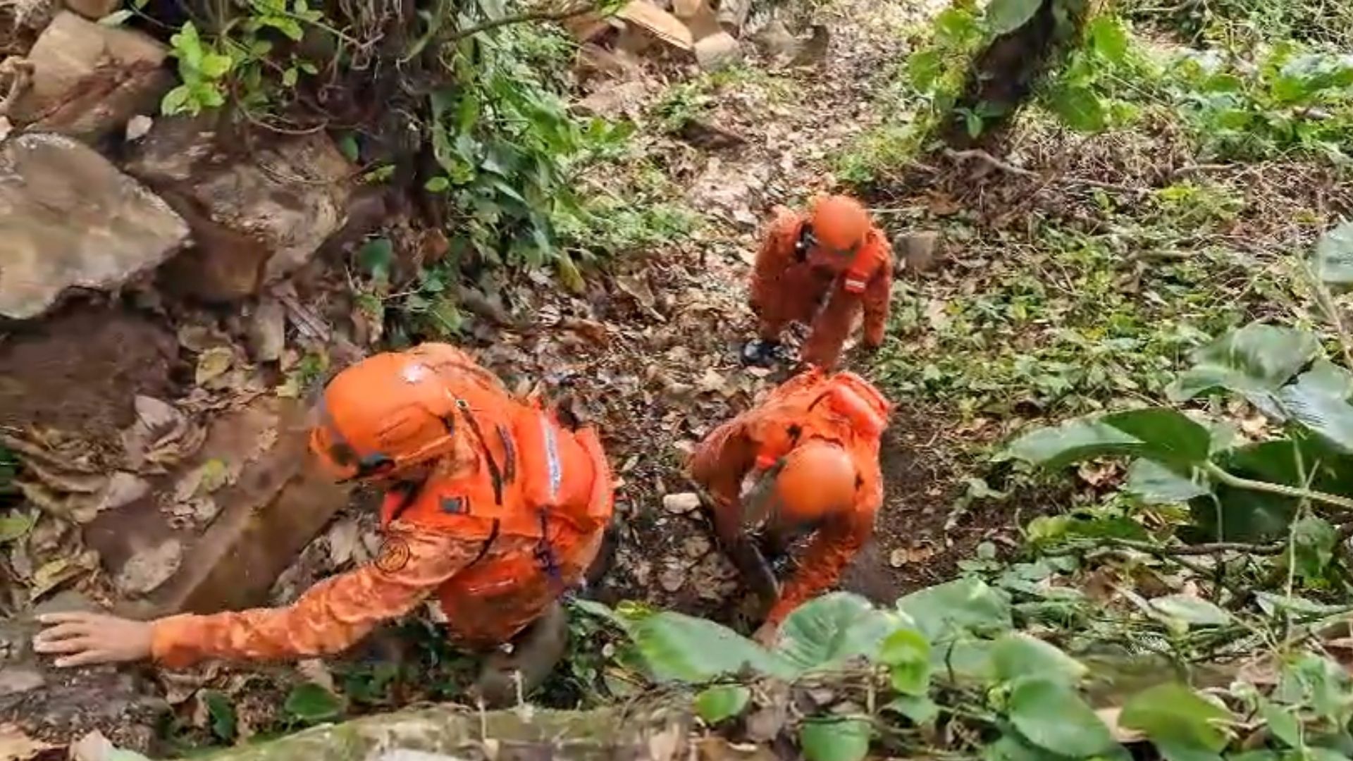 Mais de militares de 20 militares participam da operação • Divulgação - Bombeiros