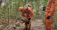 Bombeiros do RJ completam 35 horas de buscas por idoso no Morro da Urca