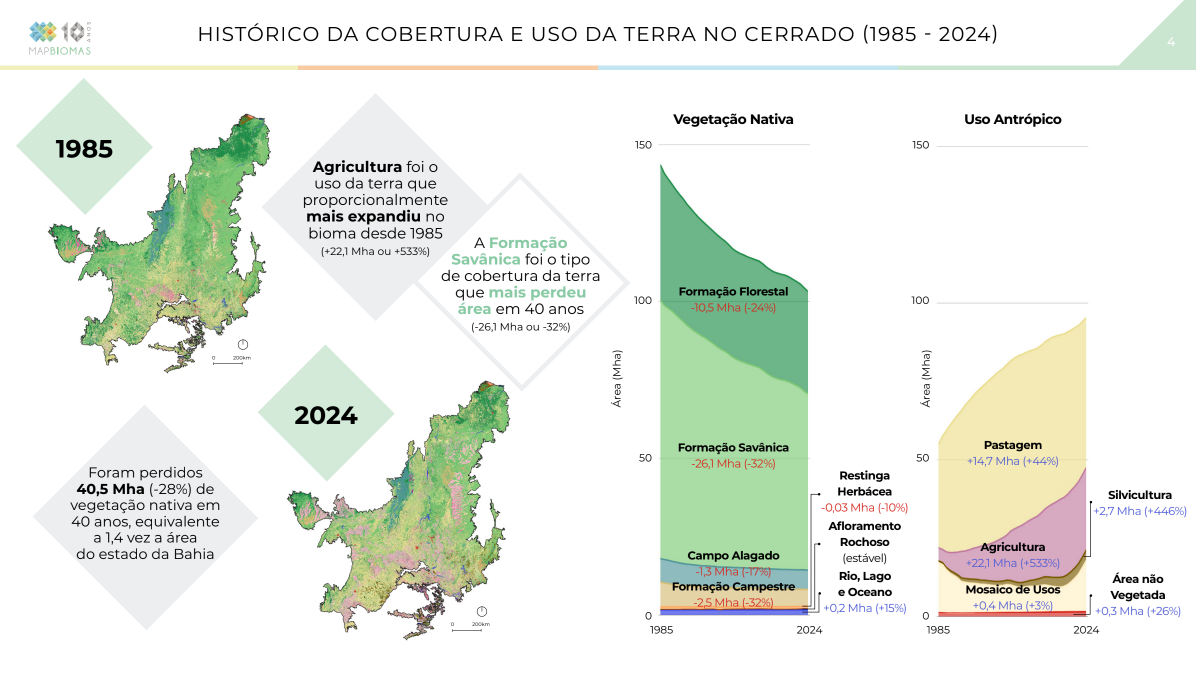 Histórico da cobertura e uso da terra no Cerrado (1985 - 2024) • MapBiomas
