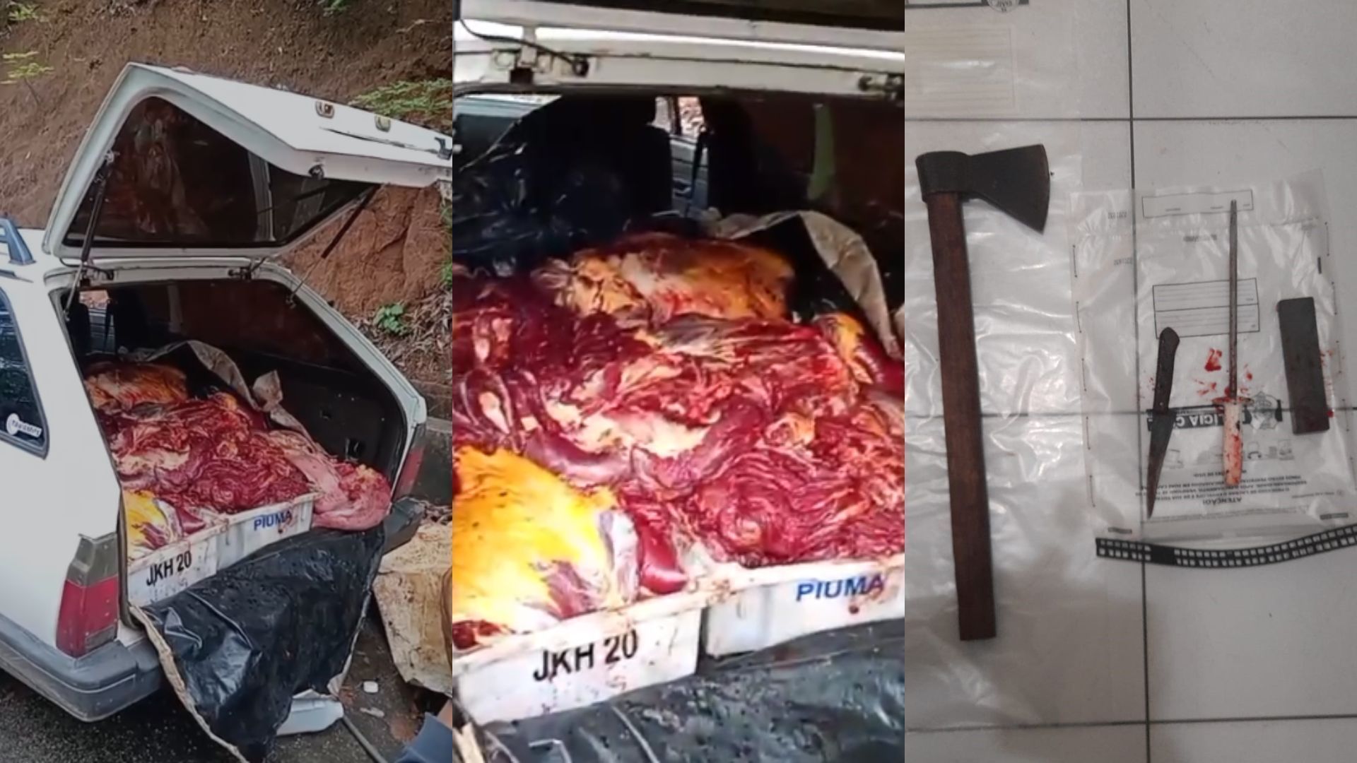 Churrasquinho de cavalo' polícia prende suspeito de vender carne equina