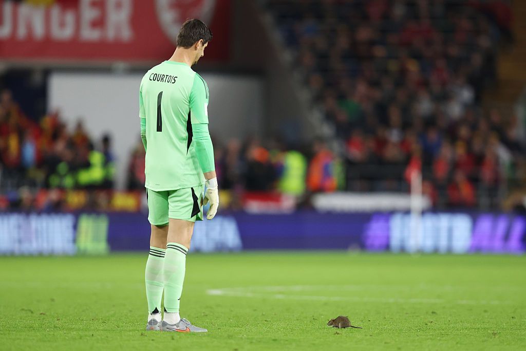 Courtois tenta retirar rato de campo • Charlotte Wilson/Offside/Offside via Getty Images