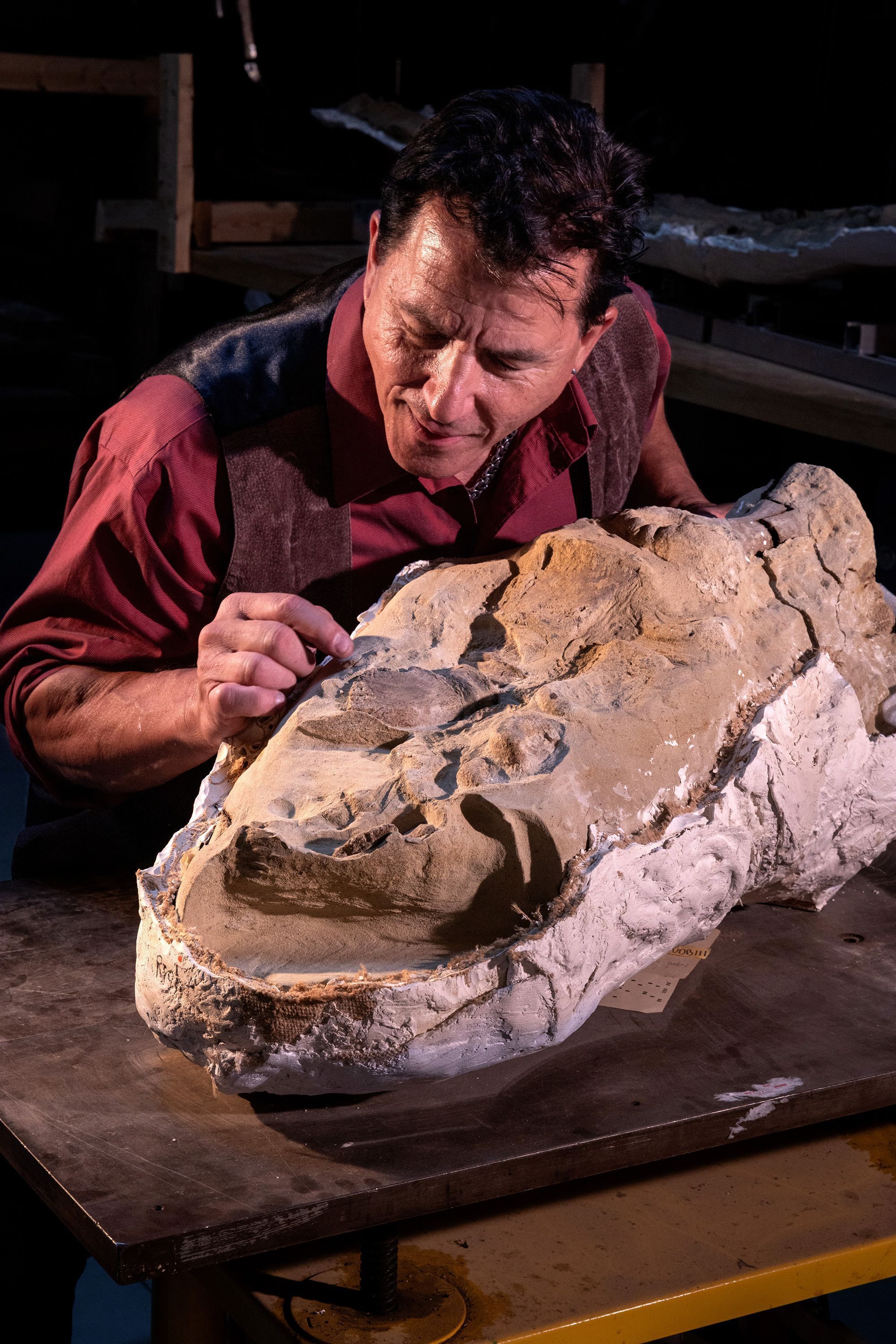 O autor principal do estudo, Paul Sereno, da Universidade de Chicago, maravilha-se com os cascos preservados no pé de uma múmia adulta de Edmontosaurus • Kieth Ladzinski via CNN Newsource