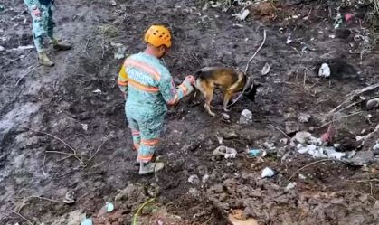 Cães farejadores procuram desaparecidos após enchentes no México
