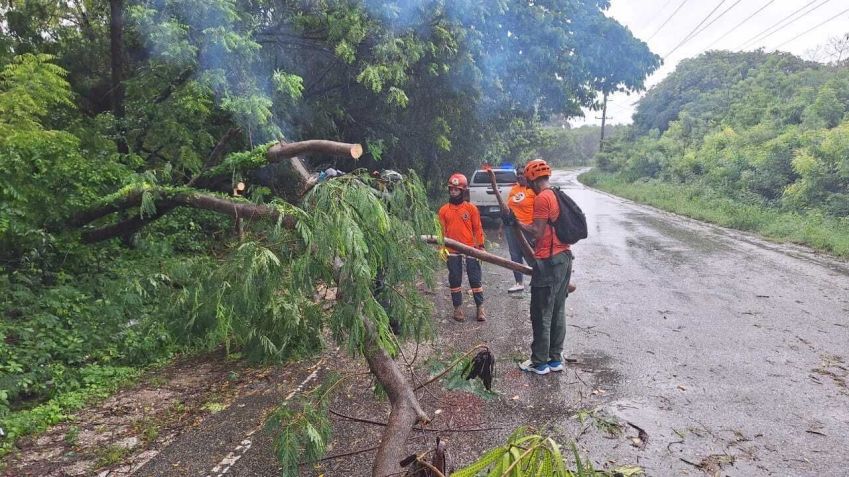 Equipes trabalham para limpar as estradas de galhos de árvores caídos devido aos fortes ventos e chuvas causados pela tempestade tropical Melissa em Barahona, República Dominicana, em 28 de outubro de 2025 • Defesa Civil Dominicana/Anadolu via Getty Images
