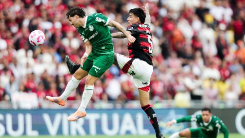 Flamengo e Palmeiras durante partida no Brasileirão