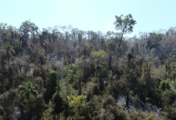 Governo de SP prorroga suspensão de queimas controladas por estiagem