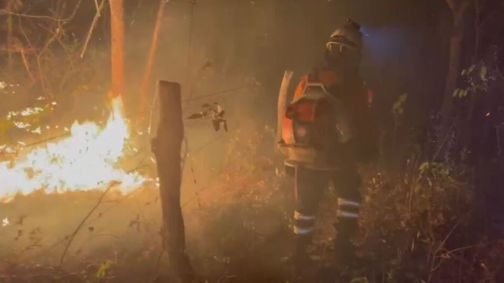 INCÊNDIO CHAPADA VEADEIROS