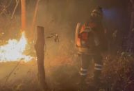 Incêndio na Chapada dos Veadeiros: Combate ao fogo completa uma semana