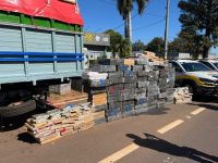 Em 10 meses, quantidade de droga apreendida em SP foi maior do que em 2024