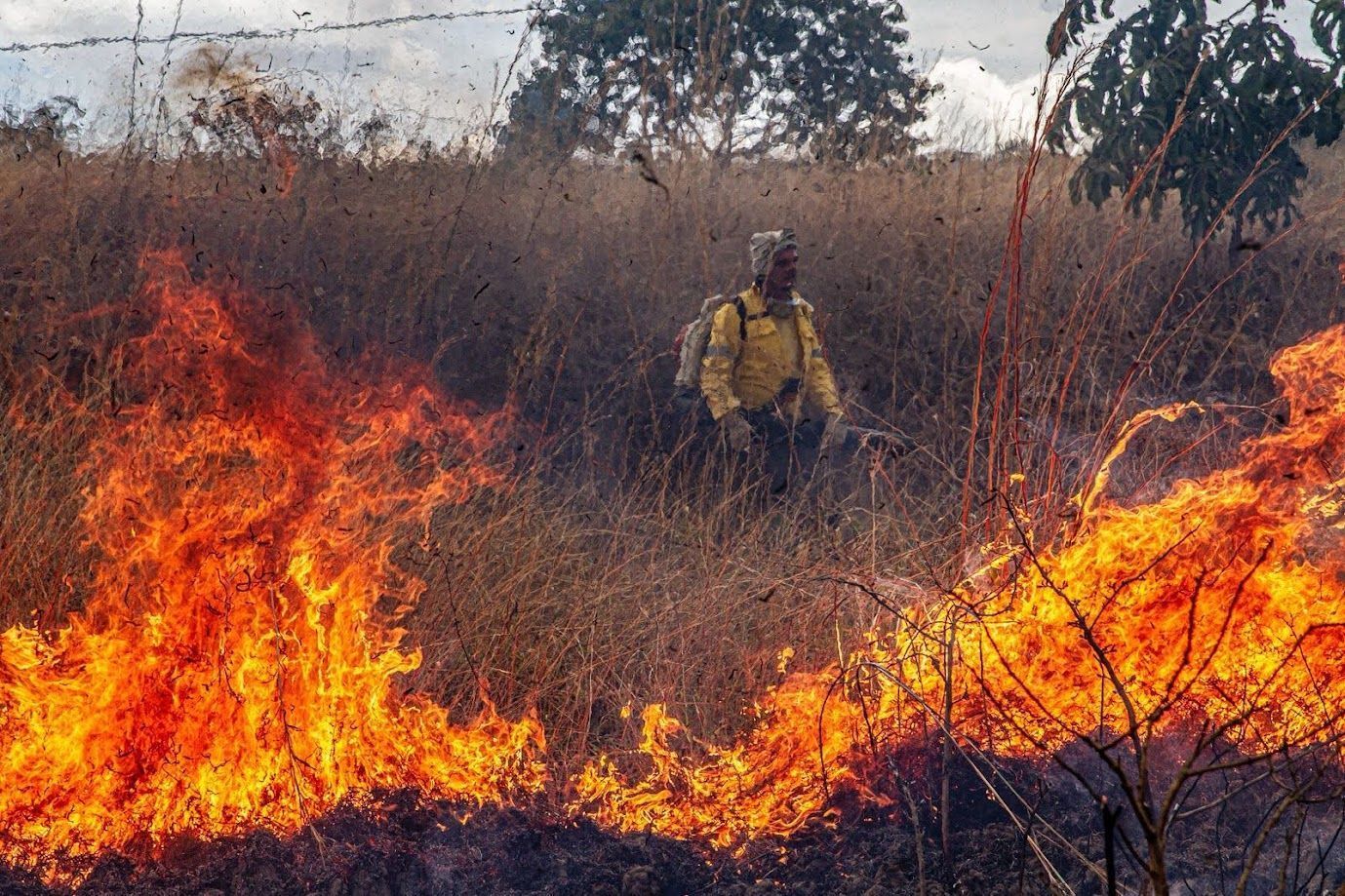 Combate as chamas no Parque Nacional da Chapada dos Veadeiros • Reprodução/ ICMBio
