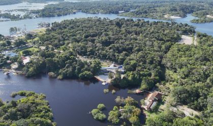 Empresas criam coalizão global e tentam destravar mercado de carbono