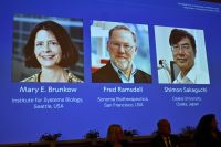 Cientistas com estudo sobre controle de imunologia vencem Nobel de Medicina