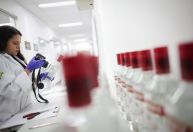 Bebidas batizadas com metanol: Brasil tem 5 mortes e 24 casos confirmados