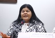 Na Câmara, Guajajara pede manutenção de vetos à Lei do Licenciamento