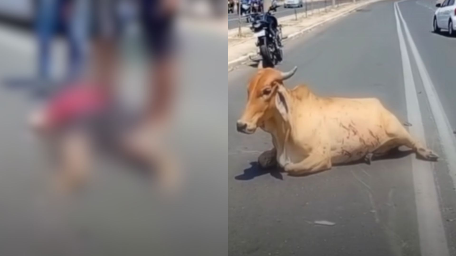 Um grave acidente de trânsito ocorrido neste domingo (19) na Avenida Poty Velho, em Teresina, culminou na morte de um homem de 42 anos • Reprodução