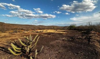 Governo do Piauí decreta situação de emergência por seca em 119 municípios