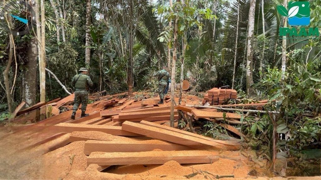Desmatamento Amazônia
