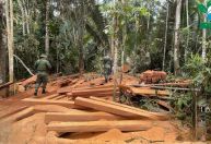 Área desmatada equivalente a mais de 2 mil campos de futebol é descoberta