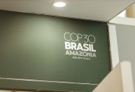 COP30: Gestoras de investimentos sustentáveis querem expandir influência