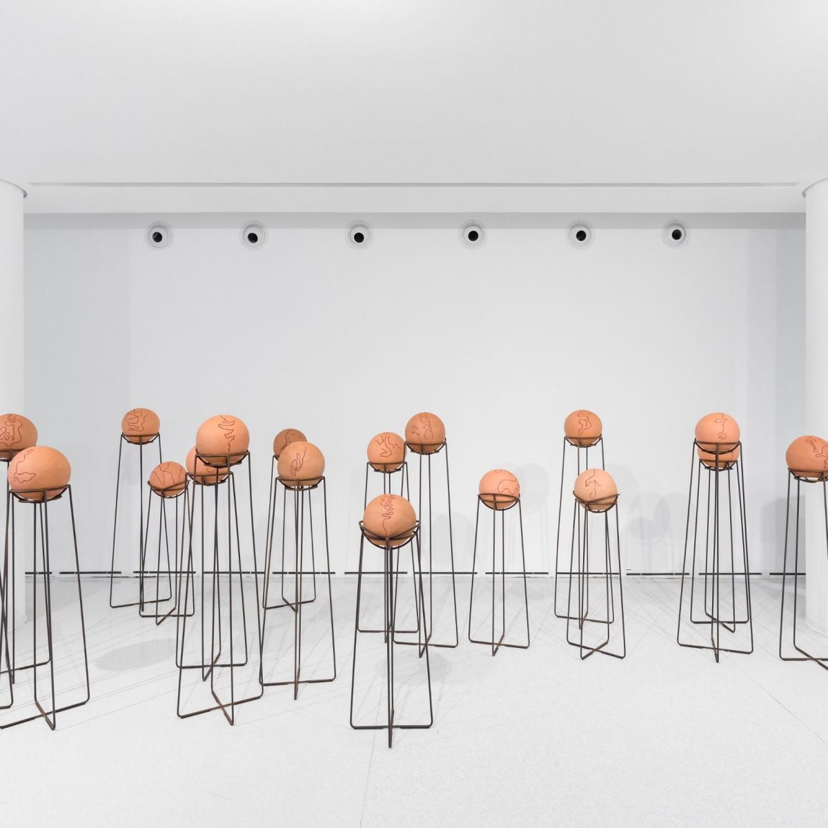 WhatsApp-Image-2025-10-08-at-