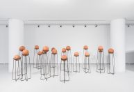 Arte e floresta se unem em exposição do Instituto Tomie Ohtake em Belém