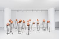 Arte e floresta se unem em exposição do Instituto Tomie Ohtake em Belém