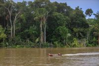 Crise climática já é sentida por 9 em cada 10 moradores da Amazônia Legal