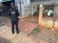 Polícia do Paraná lidera operação nacional de combate à exploração sexual