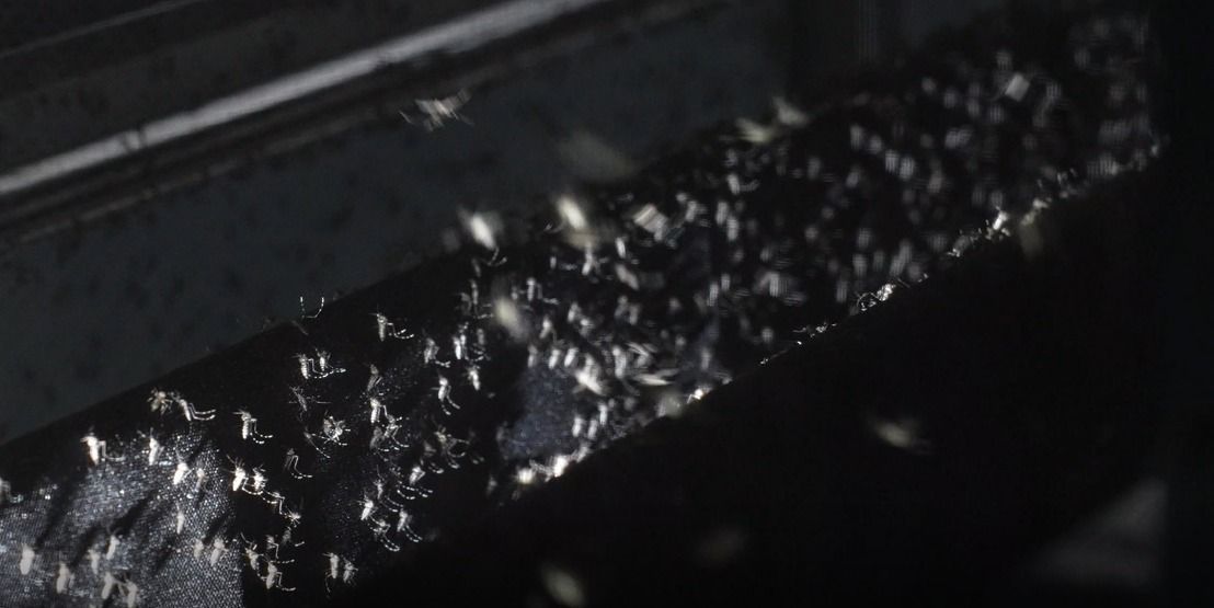 Estrutura será a maior do mundo, superando o recorde recente de uma fábrica em curitiba