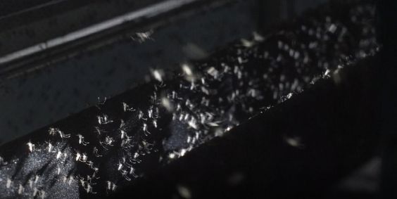 Estrutura será a maior do mundo, superando o recorde recente de uma fábrica em curitiba