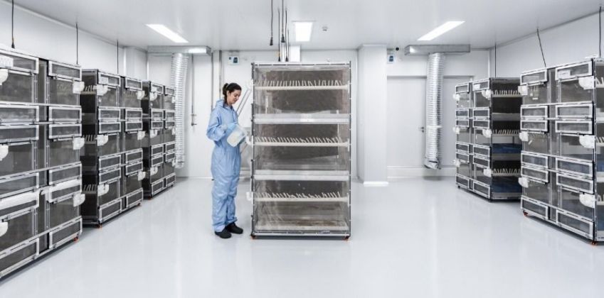 Sede do prédio é em Campinas; 190 milhões de mosquitos serão produzidos semanalmente • Divulgação