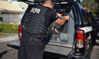 Homem é preso em SP por "golpe do amor" contra idosa no PR