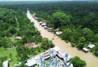 Especialista explica o que será discutido na COP30 em Belém