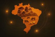 Brasil lidera rede para impulsionar agricultura tropical regenerativa
