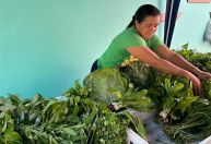 COP30 vai servir 120 mil refeições com produtos da agricultura familiar