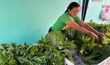 COP30 vai servir 120 mil refeições com produtos da agricultura familiar