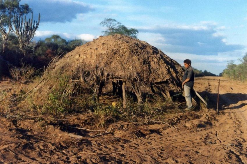 Relatório identifica 196 povos indígenas isolados em 10 países • Survival International
