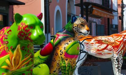 Onças-pintadas ocupam Belém e chamam atenção para a preservação