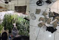 "Sobrado da maconha" tinha climatizador e até sistema de duto em SP