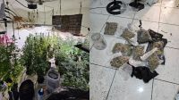"Sobrado da maconha" tinha climatizador e até sistema de duto em SP