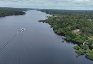 Brasil avança em negociação de fundo de proteção de florestas tropicais