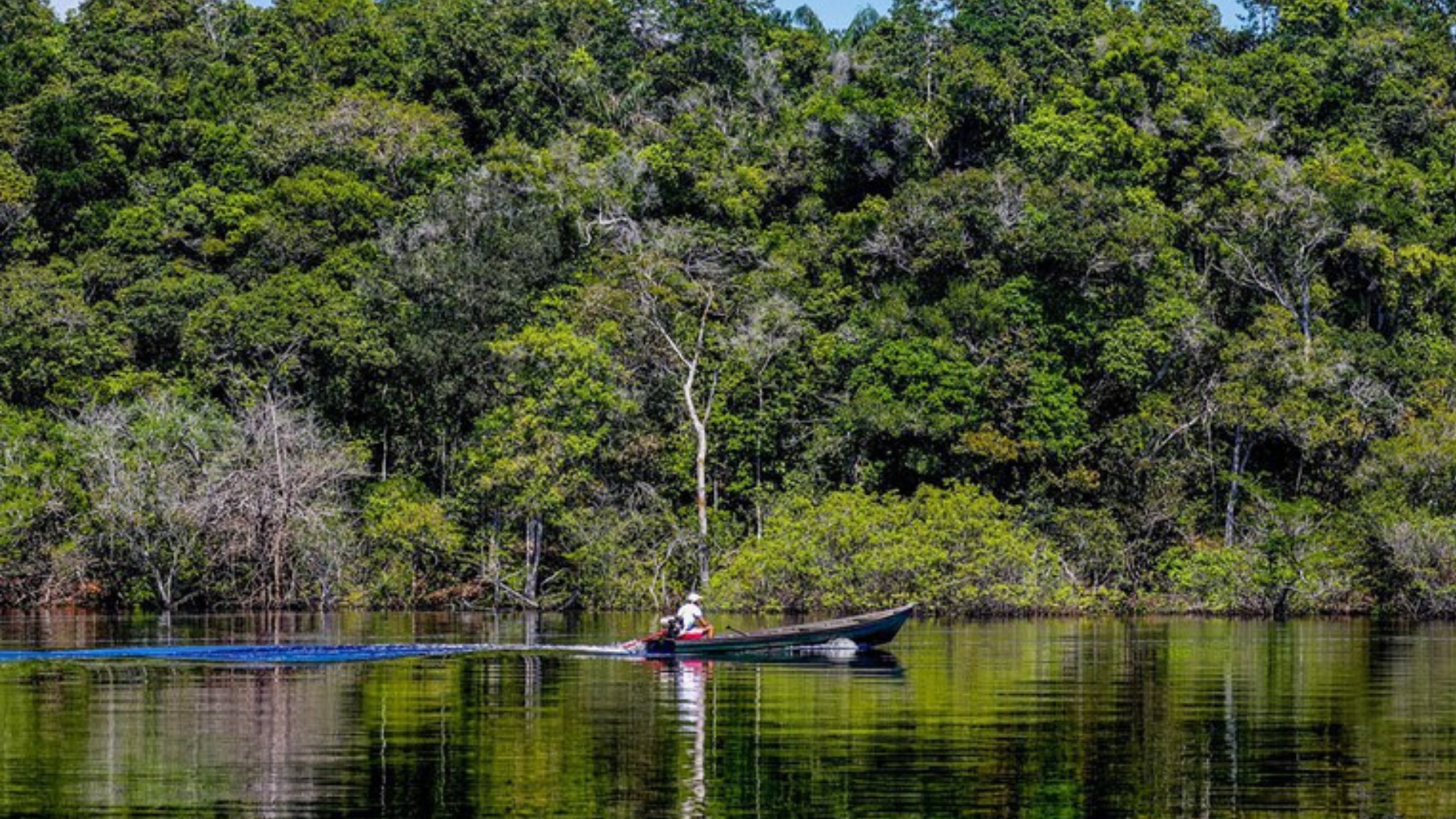 amazonia