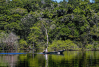 Desmatamento na Amazônia tem redução de 11,08% em 2025