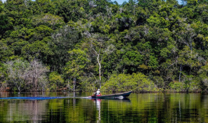 Desmatamento na Amazônia tem redução de 11,08% em 2025