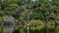 Desmatamento na Amazônia tem redução de 11,08% em 2025