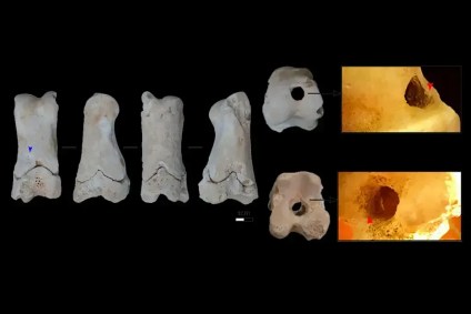 Fragmento ósseo de 3.300 anos, encontrado em Amarna, pode representar o primeiro apito funcional do Egito Antigo, possivelmente usado por guardas na vigilância das tumbas reais.