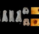 Apito de 3.300 anos pode ter sido usado por guardas no Egito Antigo